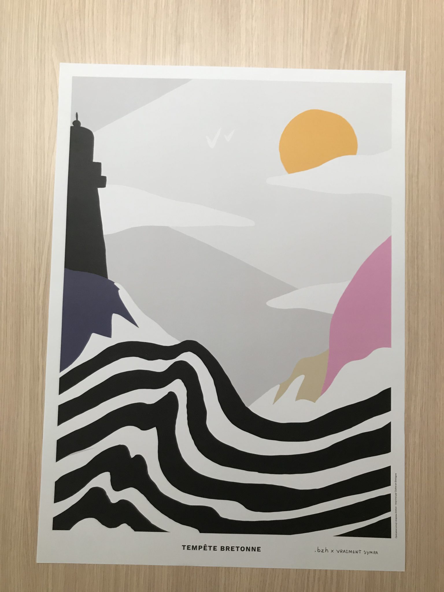 affiche tempête affiche tempête